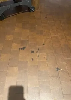 After Image