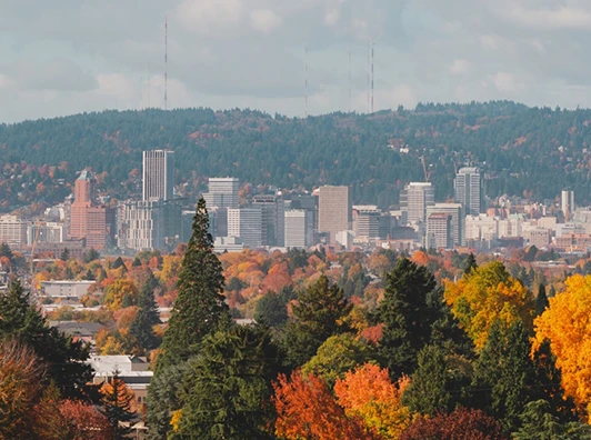 Seattle and Forest Pacific Modular, in the city beyond the forest