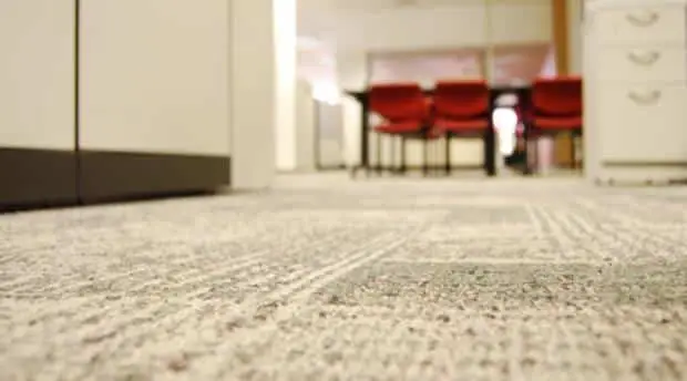 carpet cleaning